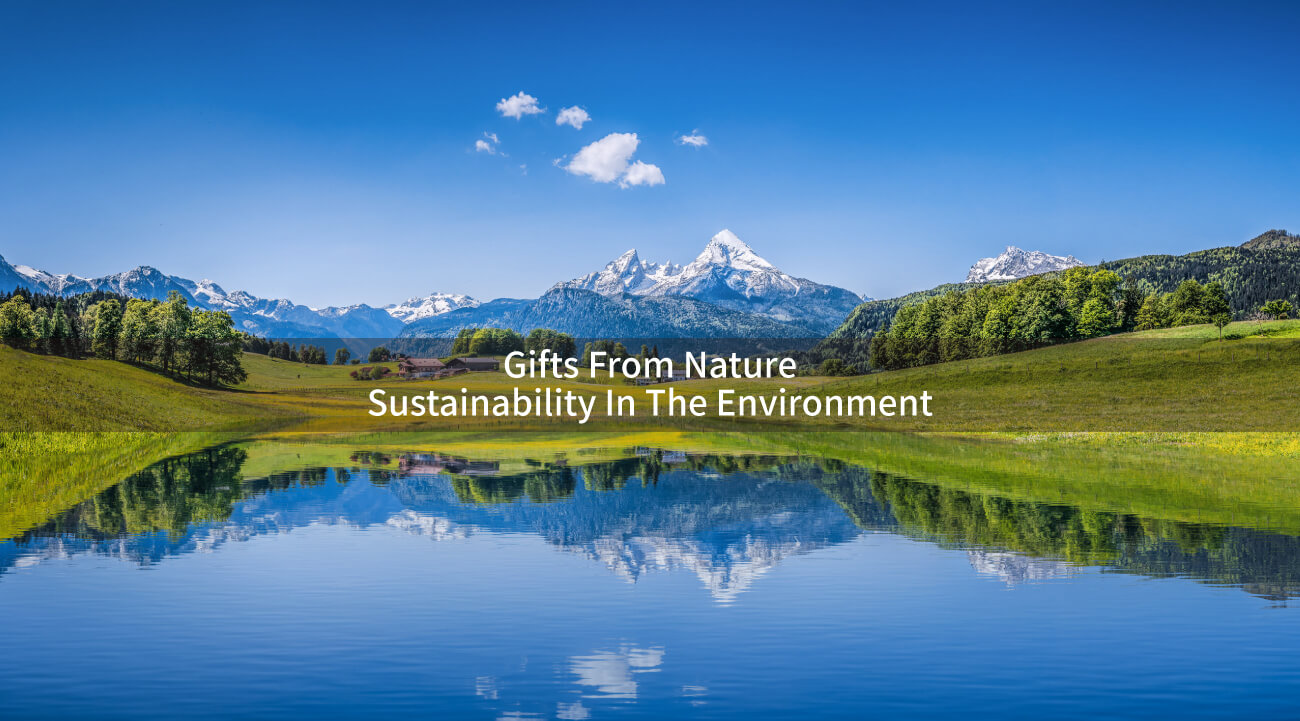 Rongying Green Energy IND. CO., LTD. banner