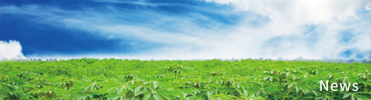 Rongying Green Energy IND. CO., LTD. News Banner pic